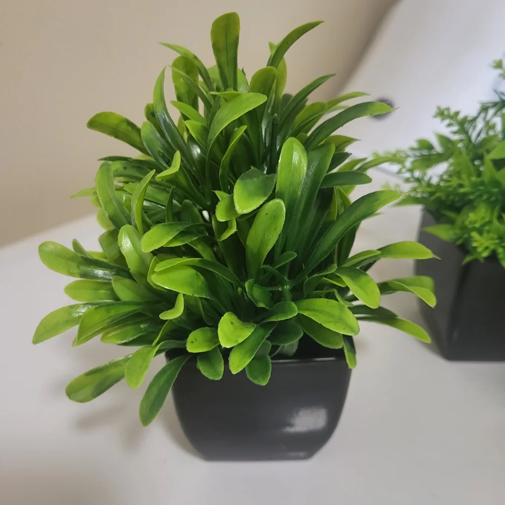 Artificial Greenery in Black Planters